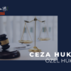 CEZA HUKUKU ÖZEL HÜKÜMLER